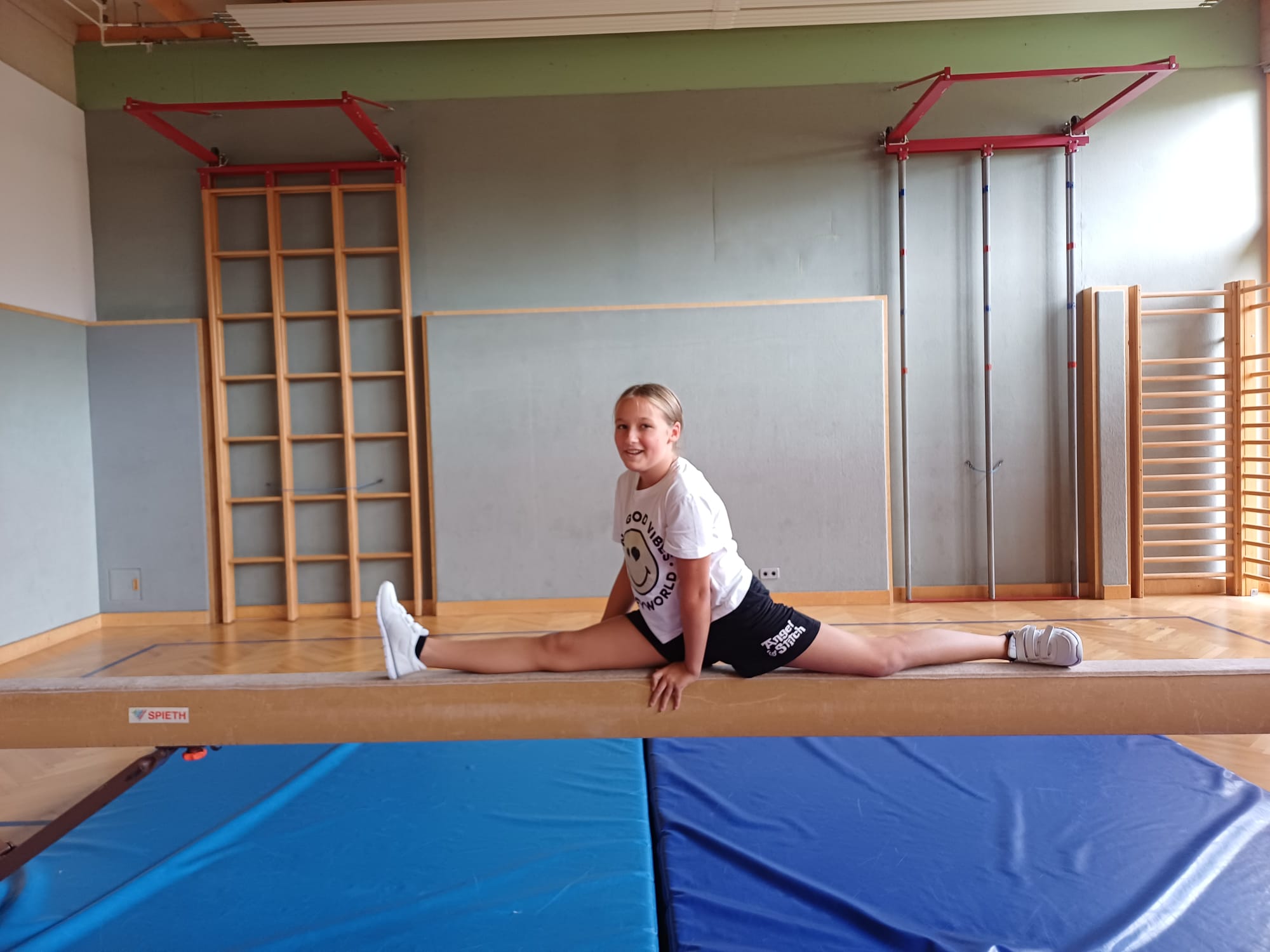 Schwebebalken – Bild 2