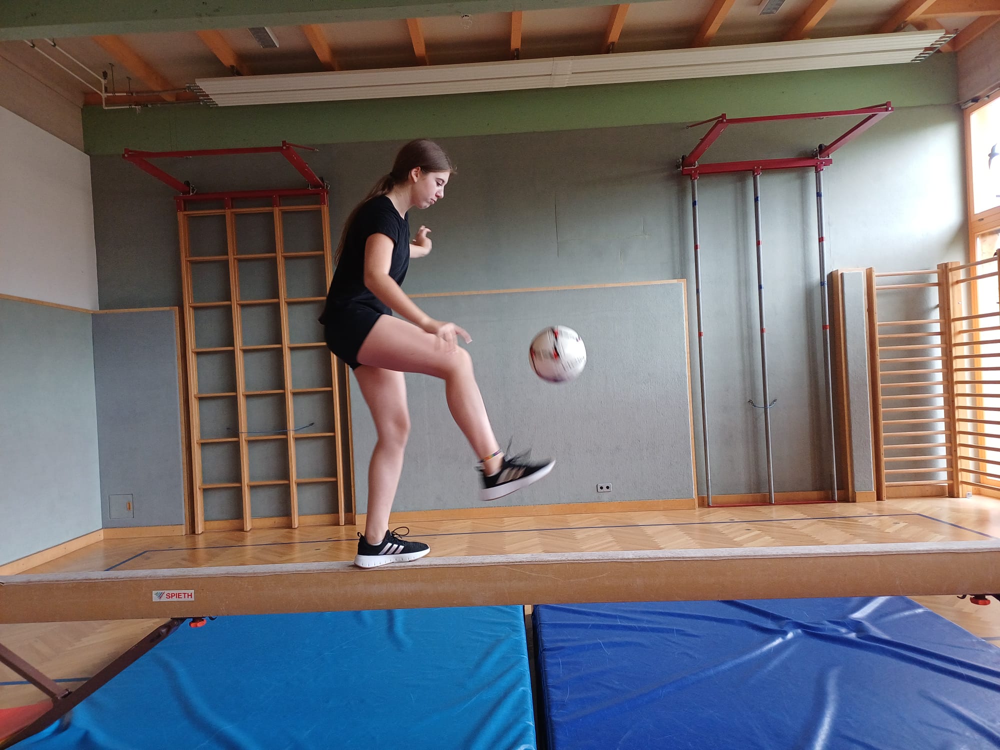 Schwebebalken – Bild 3