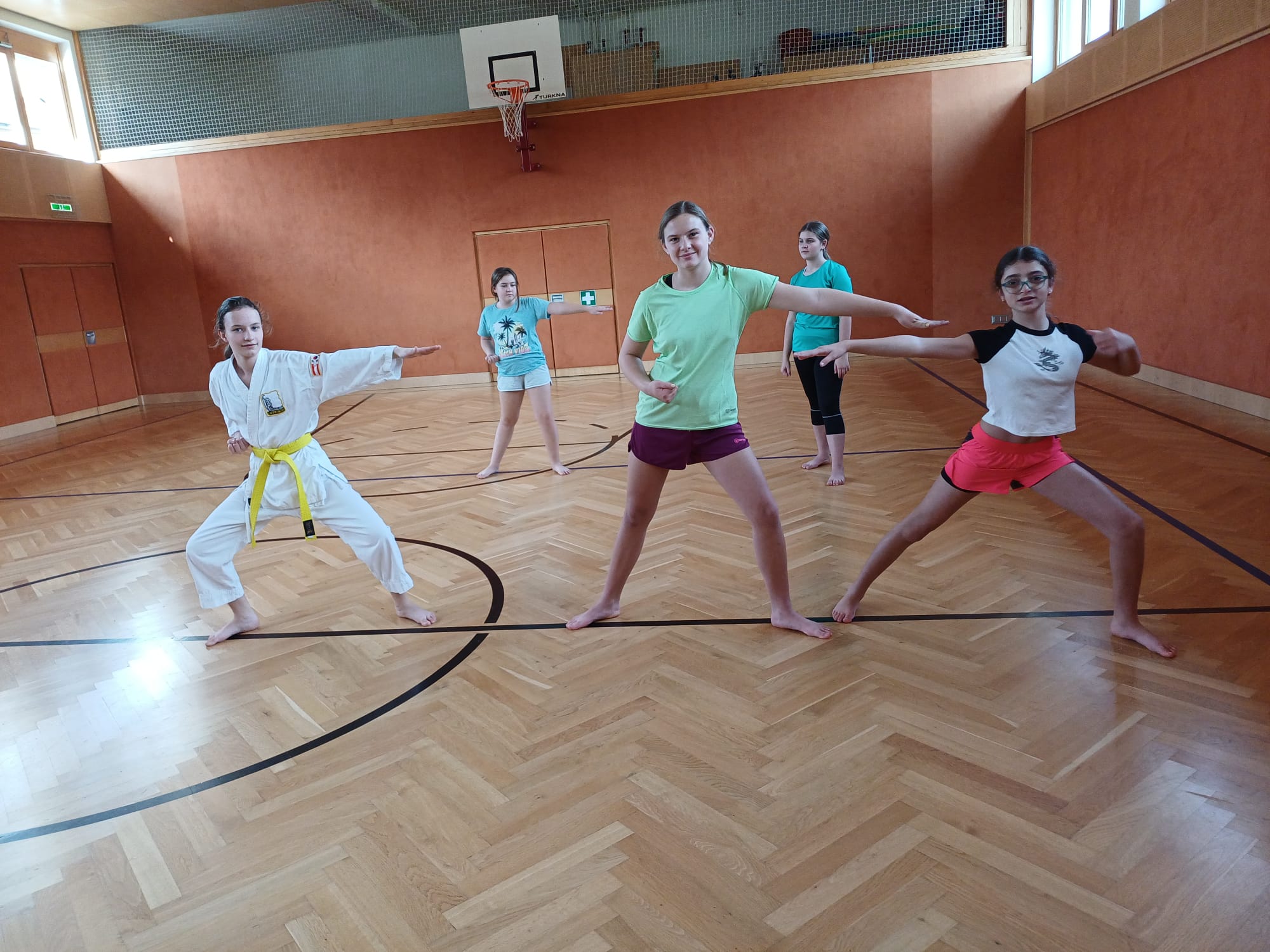 Taekwondo