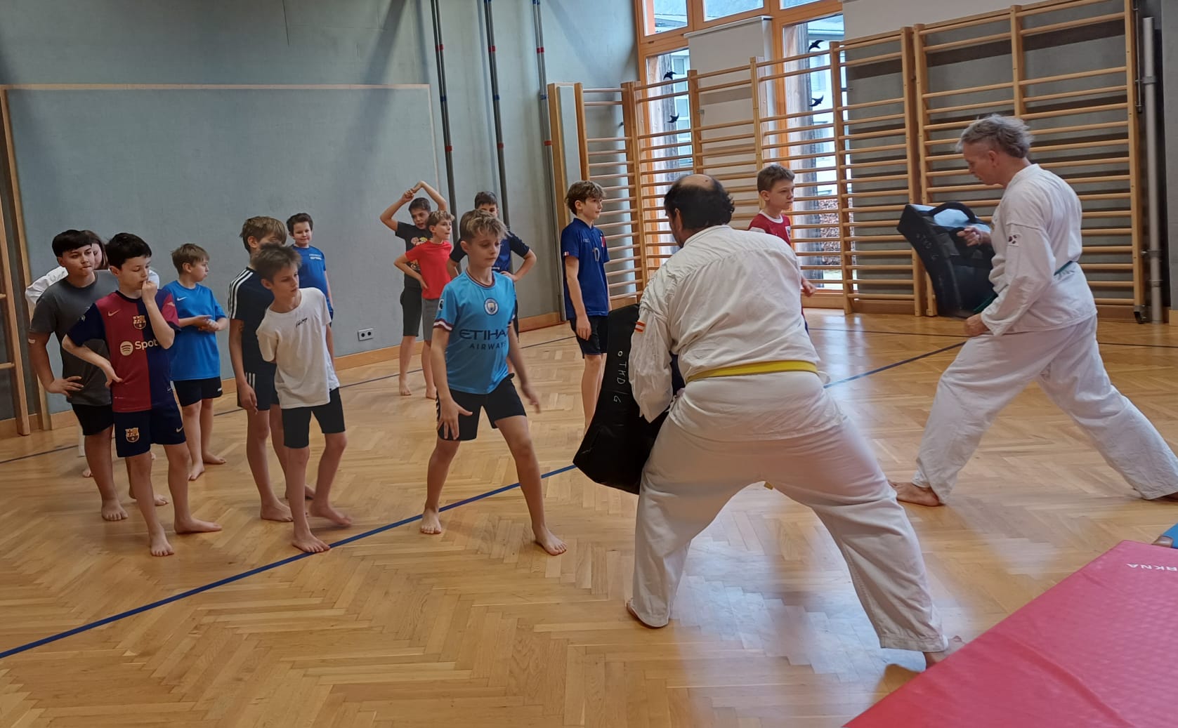 Taekwondo – Bild 5