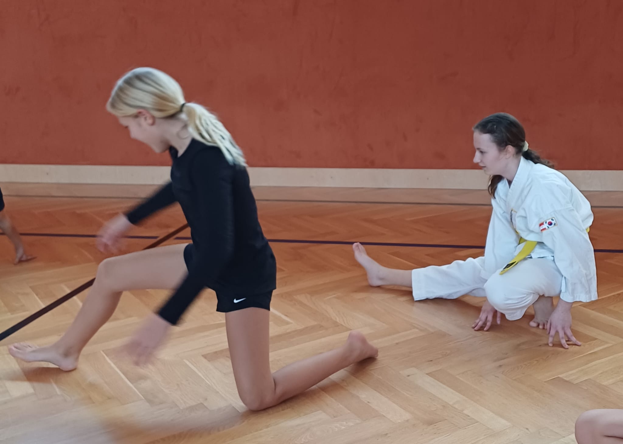 Taekwondo – Bild 12