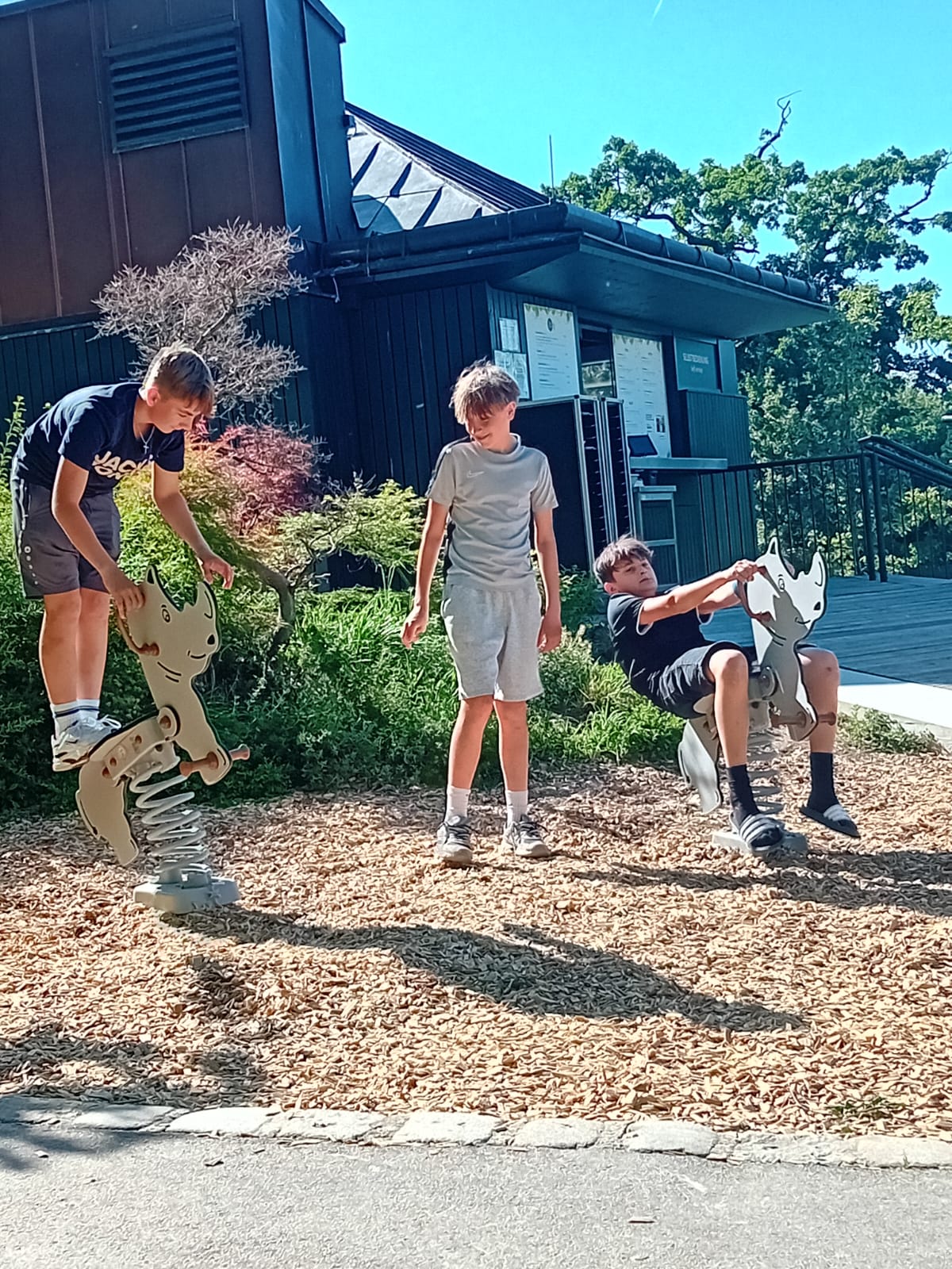 Impression 19 vom Wienwoche der Klasse 4a